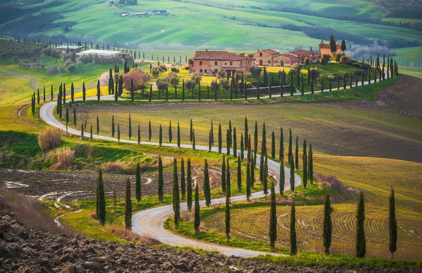 Paesaggio della Val d’Orcia con colline e strada sinuosa fiancheggiata da cipressi